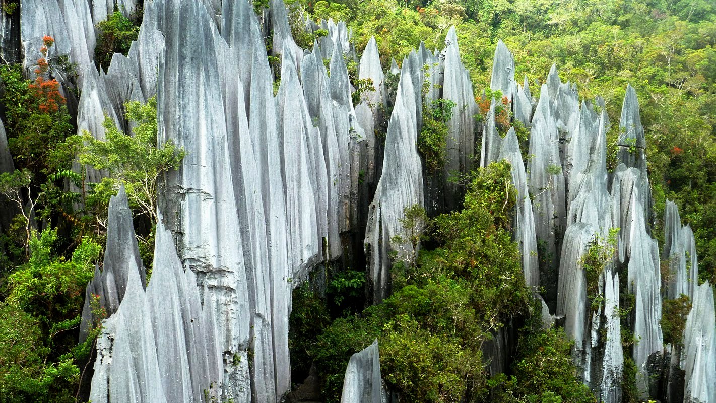 4 Tempat Wisata Populer Di Penang, Malaysia