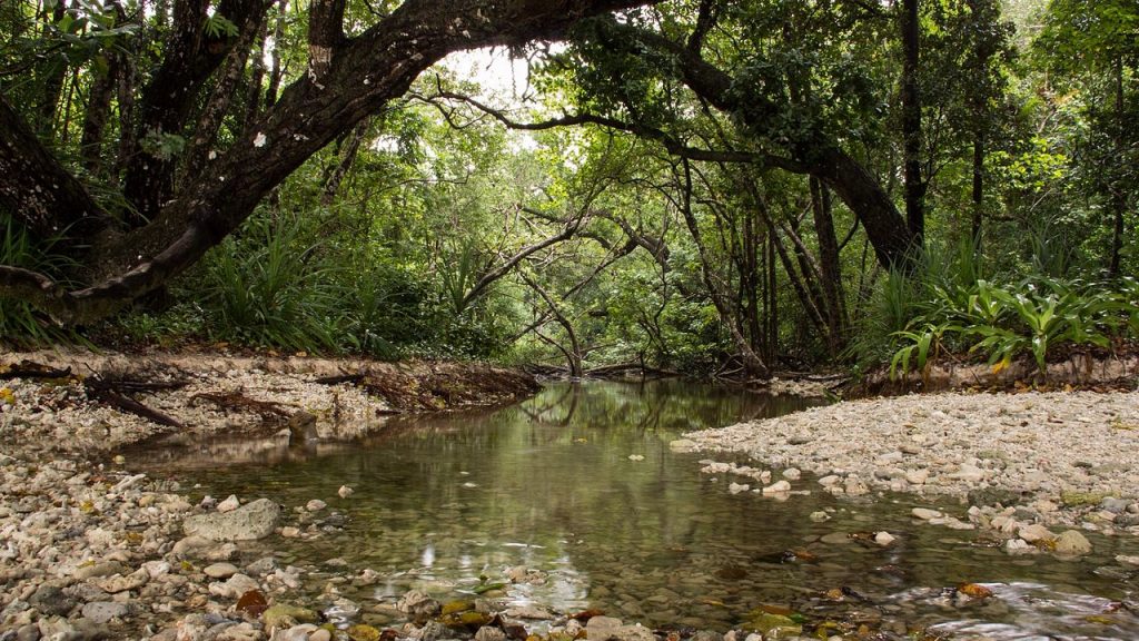 Hutan Tropis menuju Karang Copong