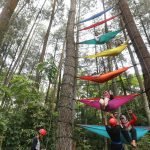 Ini Dia 3 Kota dengan Wisata Hammock Kekinian