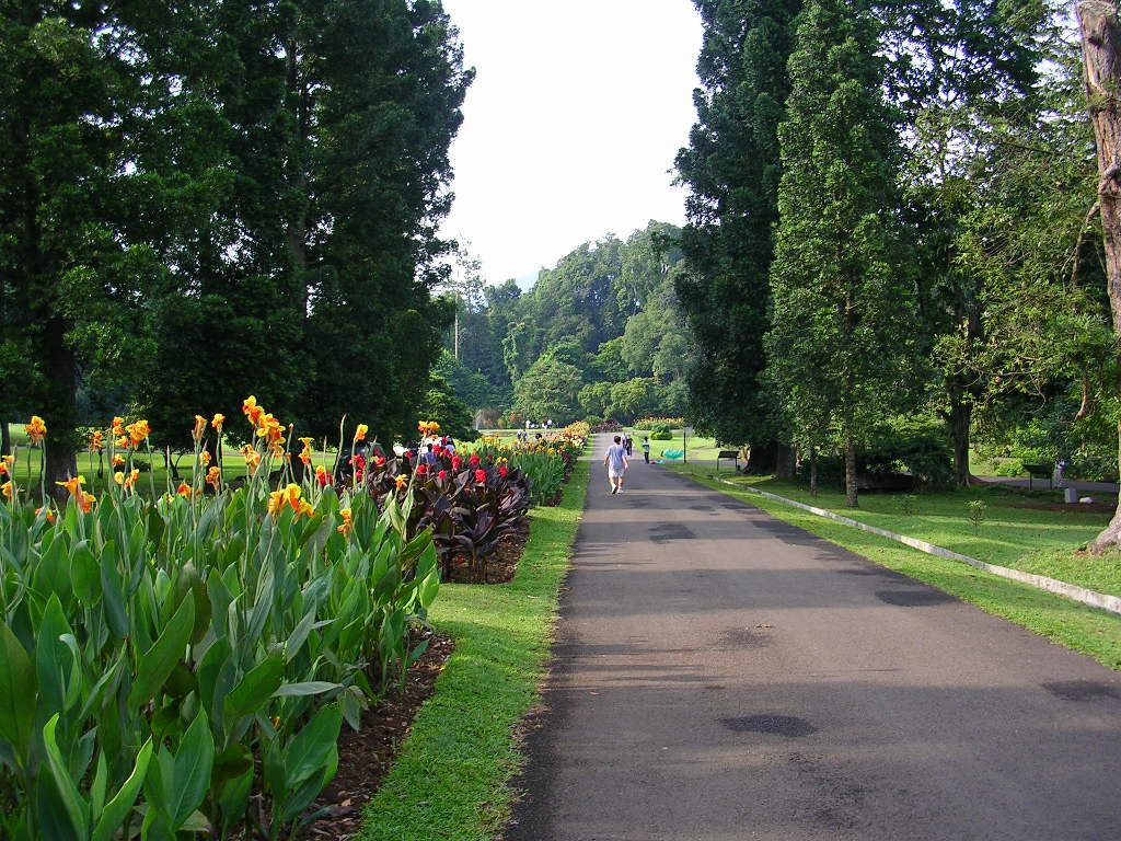 Kebun Raya Bogor