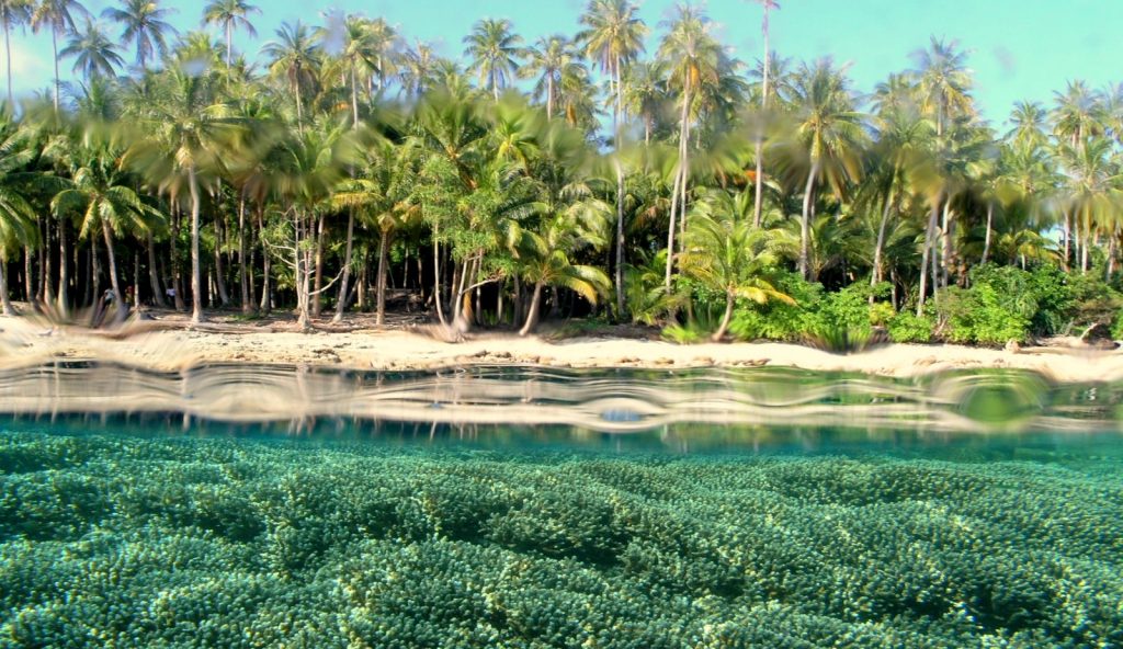 Kepulauan Padaido Biak Utara