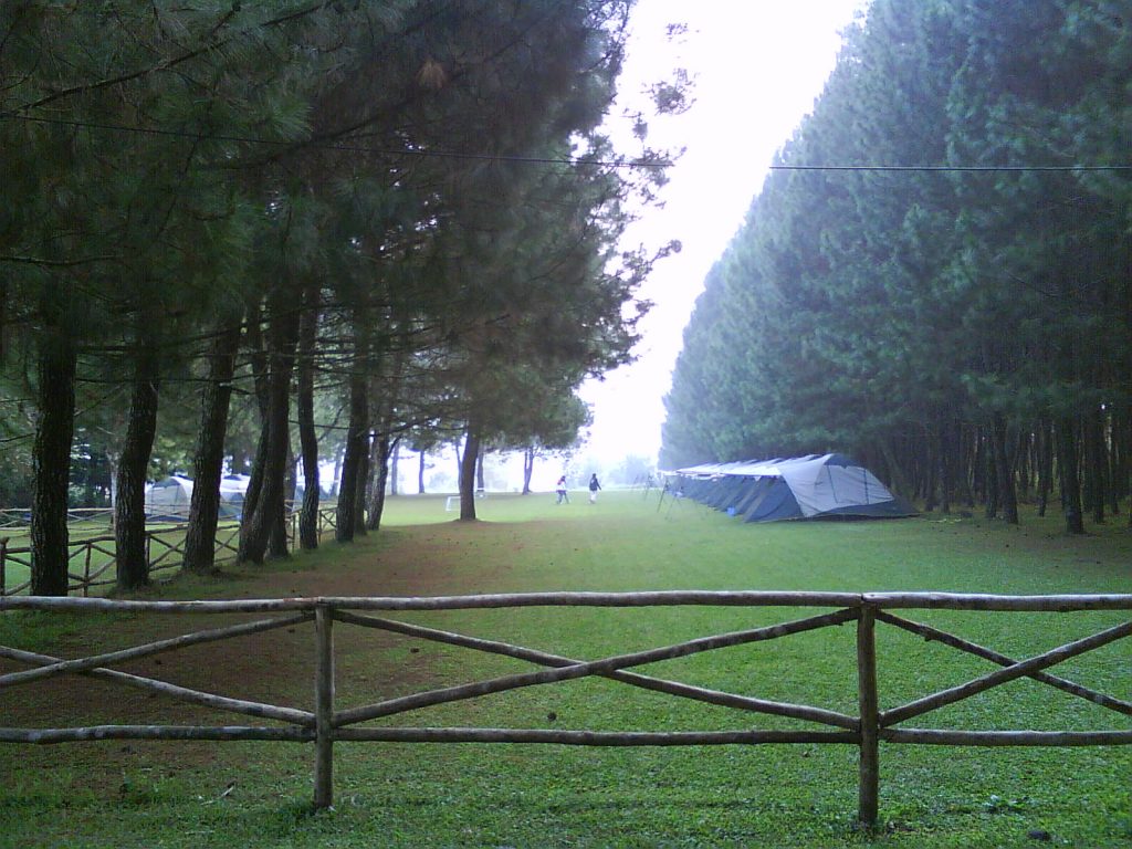 Pine Forest Lembang