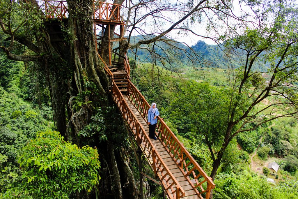 Rumah Pohon dan Curug Ciherang