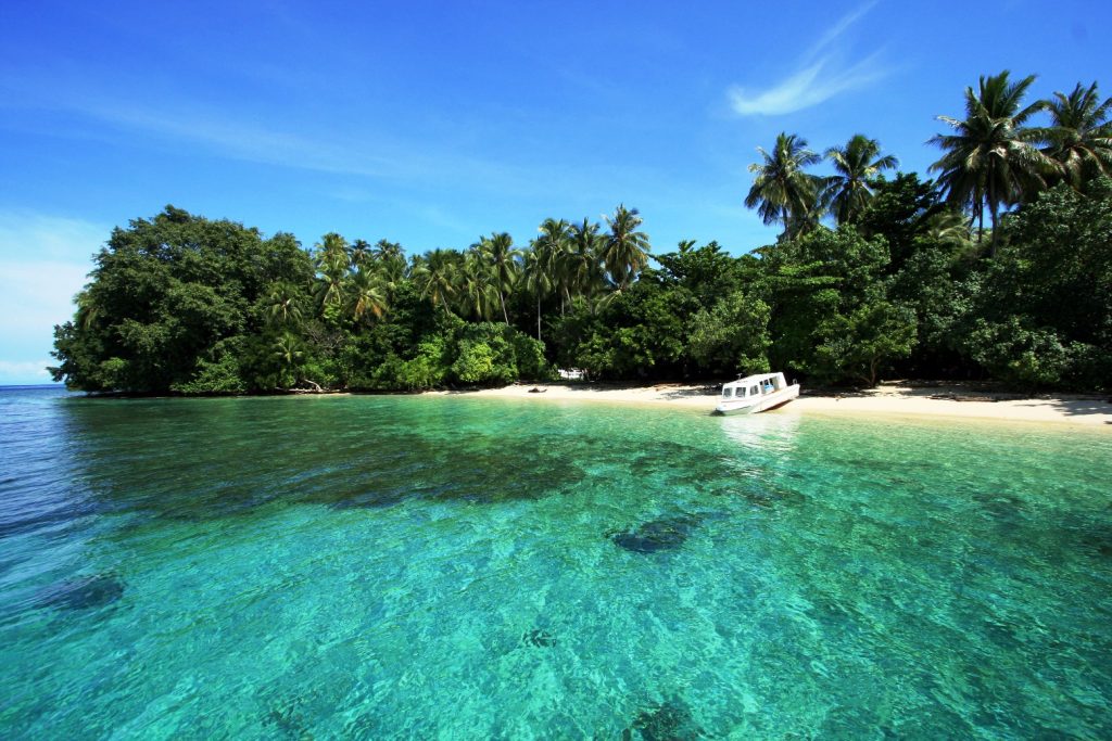 Taman Nasional Teluk Cenderawasih