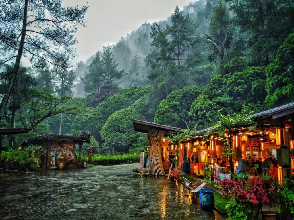 6 Hutan Pinus yang Adem di Bandung