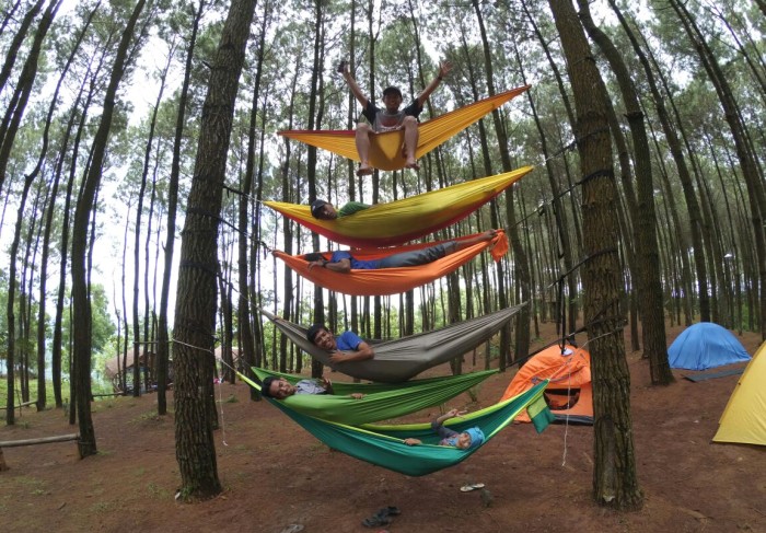 Wisata Hammock Hutan Pinus Mangunan