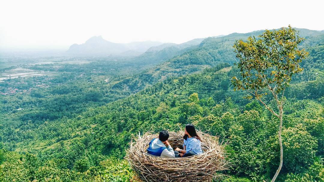 Wisata SAngkar Burung Bukit-Jomblo