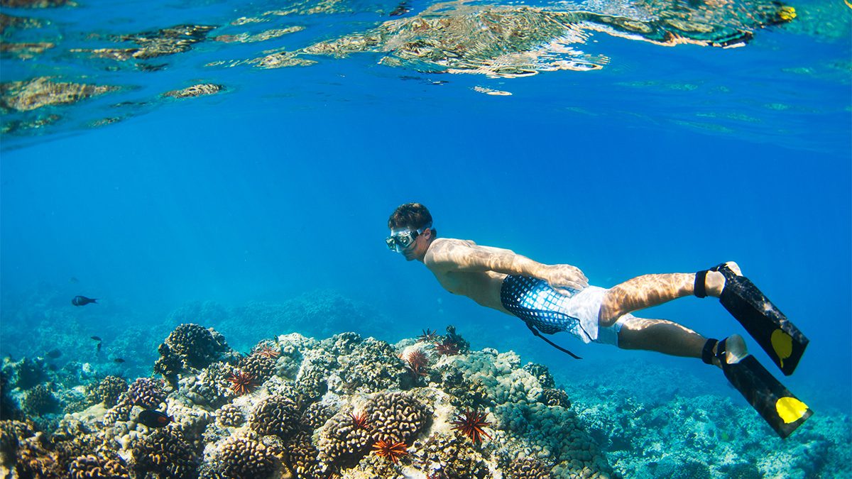 7 Wisata Snorkeling Asik di Nusantara
