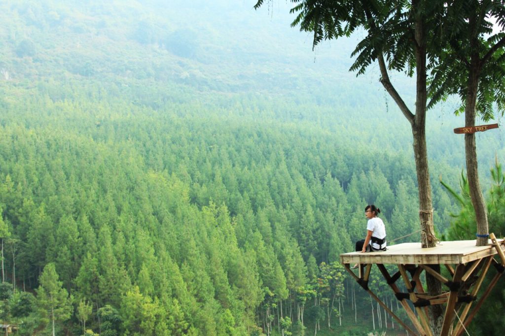 Sky Tree di The Lodge Maribaya