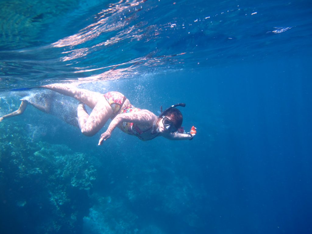 SNORKELING DAN DIVING