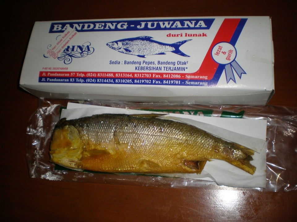BANDENG PRESTO JUWANA Semarang