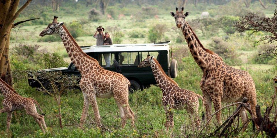 MASAI MARA NATIONAL RESERVE