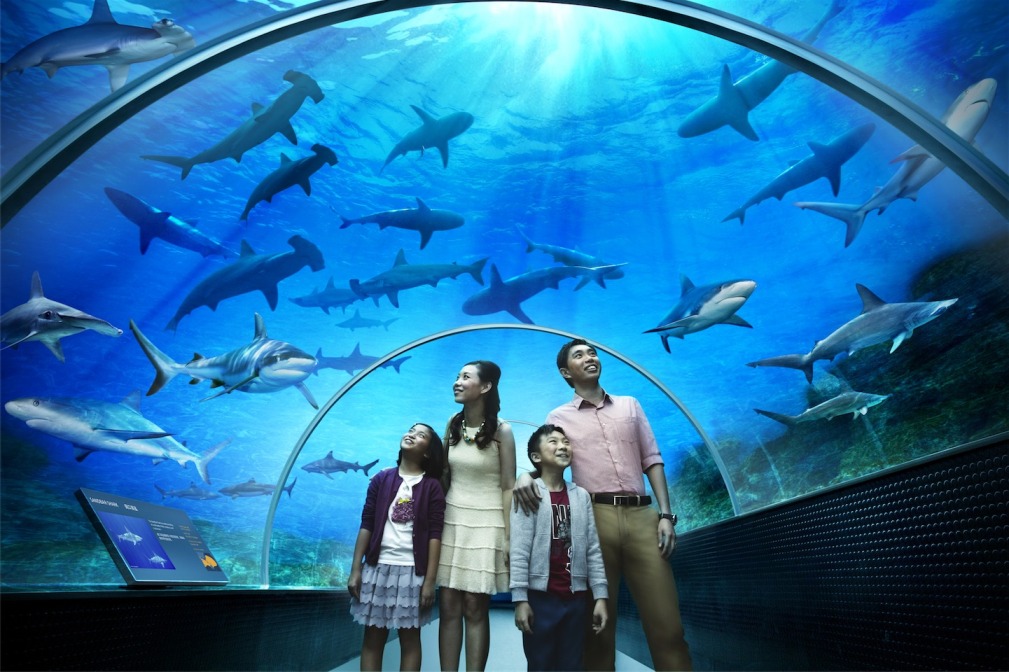 Marine Life Park Singapore