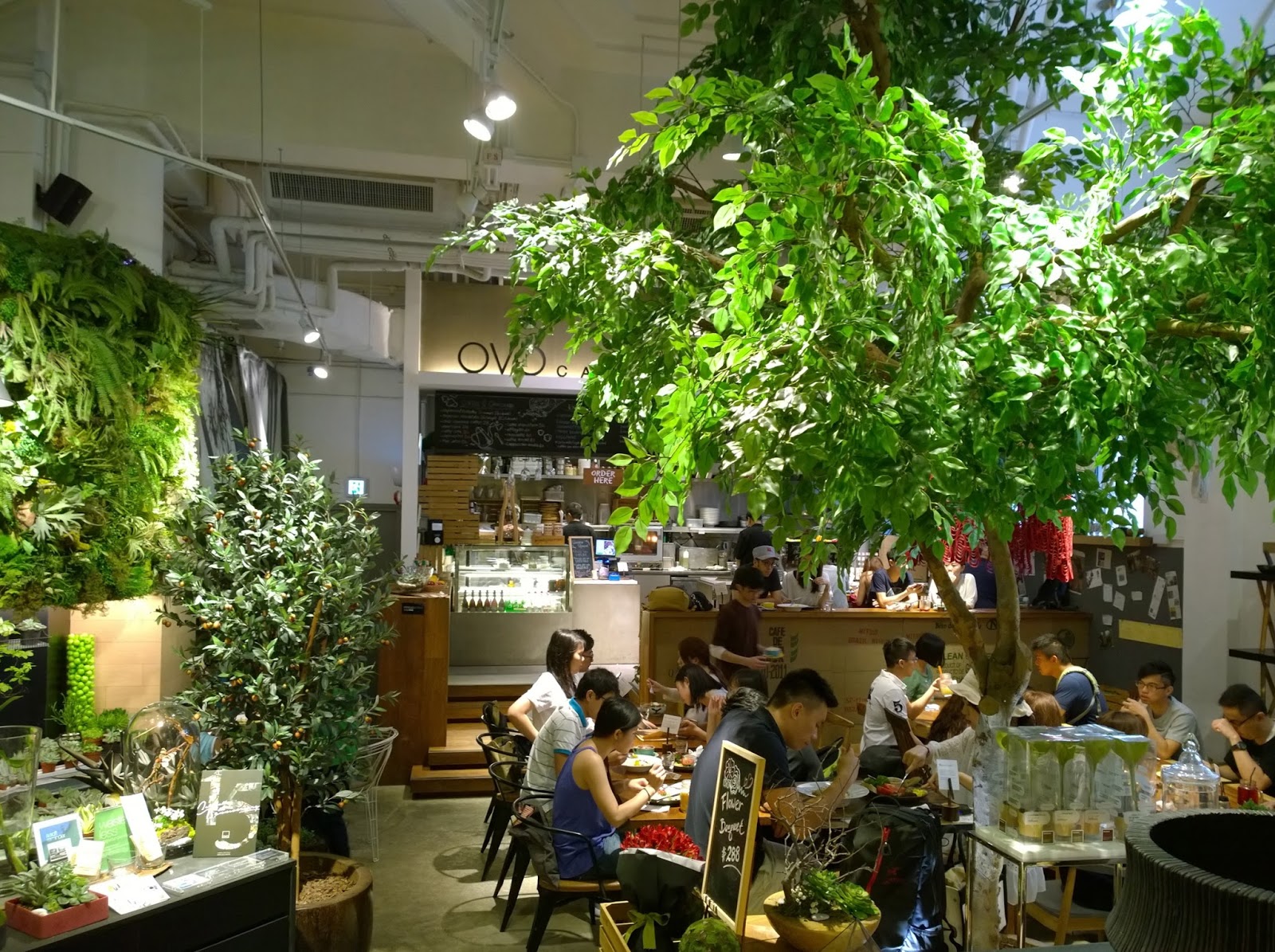 OVOCAFE Hongkong Restaurant