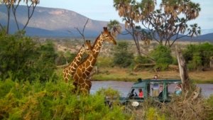 SAMBURU GAME RESERVE
