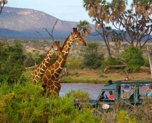 SAMBURU GAME RESERVE