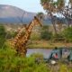 SAMBURU GAME RESERVE