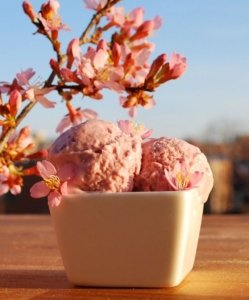 ES KRIM SAKURA JEPANG