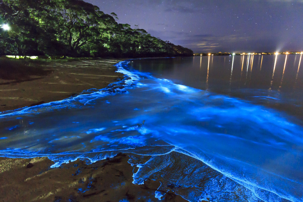 Menikmati Indahnya Sea of Stars Maldives