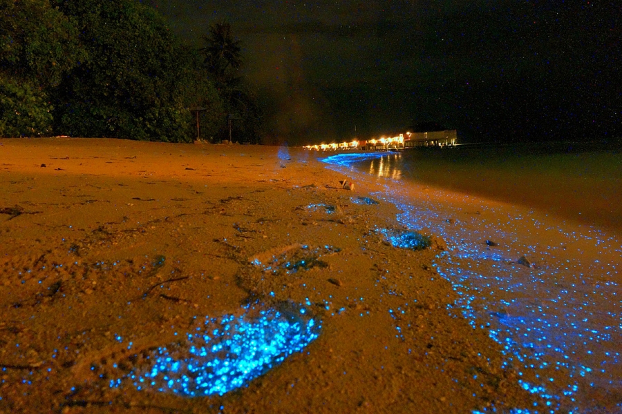 Sea of Stars Maldives