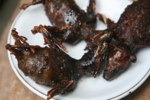 Kuliner Ekstrem di Gunung Kidul