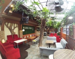 Nongkrong Di MARK TREES CAFE