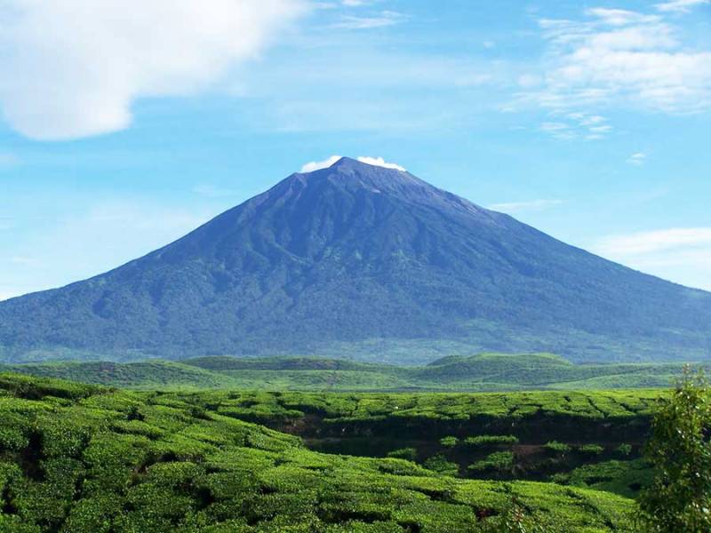 Liburan Sambil Belajar Sejarah ! Inilah 5 Destinasi Wisata Alam dan Budaya Jambi