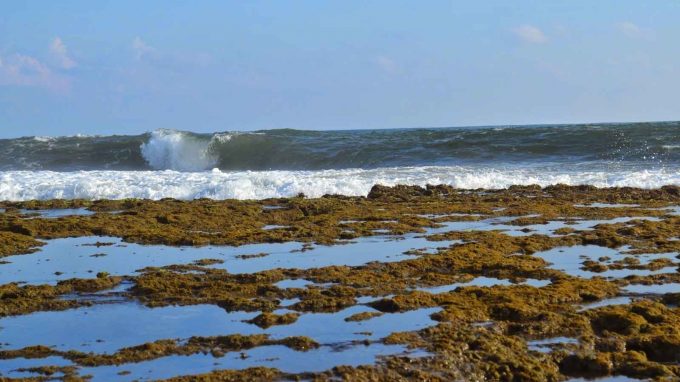 Mengunjungi Surga Tersembunyi Di 10 Tempat Wisata Alam Ujung Genteng Sukabumi