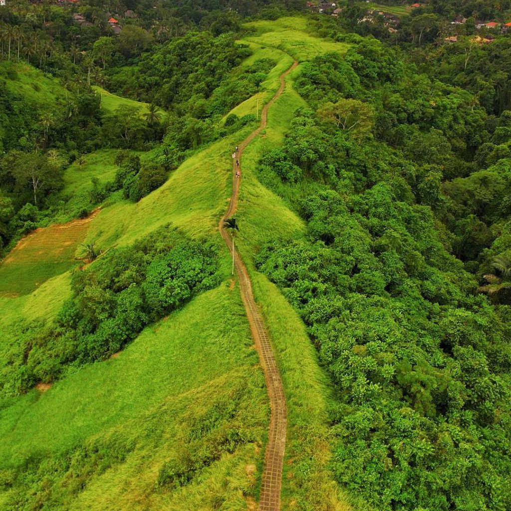 4 Spot Wisata Romantis Ubud Yang Cocok Untuk Hari Valentine