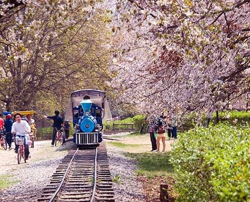 4 Destinasi Wisata Halal Korea Selatan Yang Ramah Terhadap Wisatawan Muslim