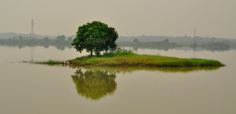 Wisata Rumah Pohon Jatiasih Bekasi Jawa Barat