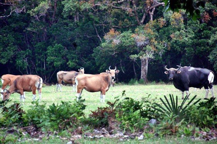 7 Wisata Banten Yang Wajib Di Kunjungi Saat Long Weekend