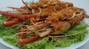 5 Destinasi Wisata Kuliner Bandar Lampung Untuk Buka Puasa Bersama