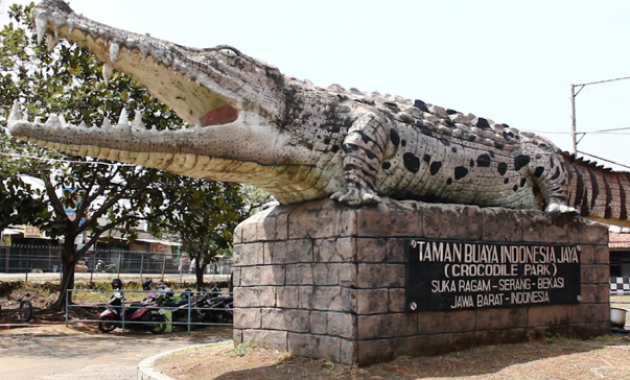 Wisata Rumah Pohon Jatiasih Bekasi Jawa Barat