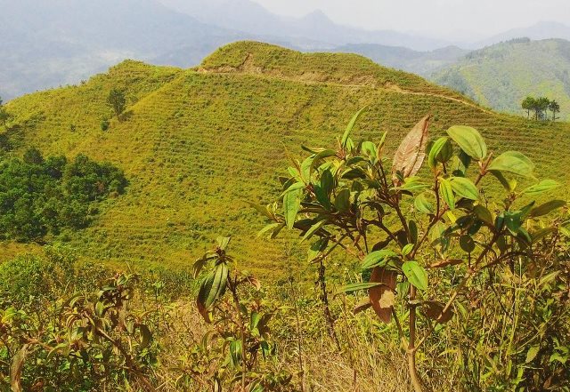 10 Lokasi Wisata Pekalongan Dengan Pesona Yang Tidak Terlupakan 8