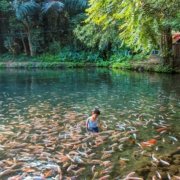 10 Tempat Wisata Salatiga Yang Indah Dan Mempesona 4