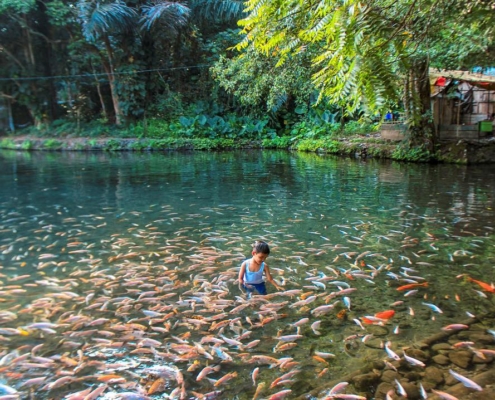 10 Tempat Wisata Salatiga Yang Indah Dan Mempesona 4