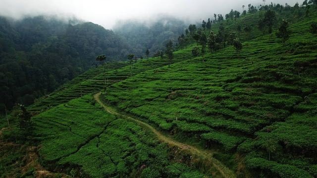 7 Lokasi Wisata Mengasikan Di Kendal Yang Wajib Kamu Kunjungi