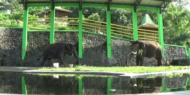 Menunggu Buka Puasa Sambil Berlibur Di 7 Wisata Waduk Gajah Mungkur Wonogiri 4