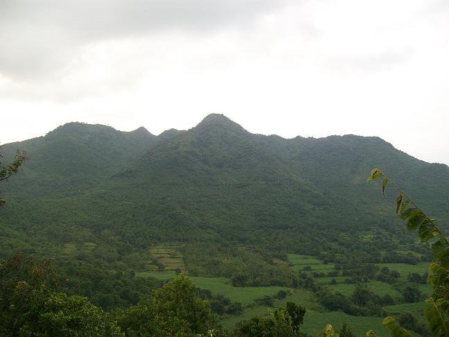 10 Lokasi Wisata Seru Kediri Yang Hits Dan Wajib Kamu Kunjungi 10