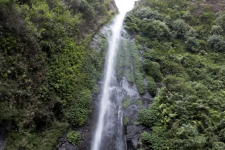 Padang Savana Afrika