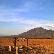 10 Lokasi Wisata Situbondo Yang Memiliki Padang Savana Afrika 5