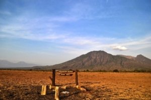 10 Lokasi Wisata Situbondo Yang Memiliki Padang Savana Afrika 5