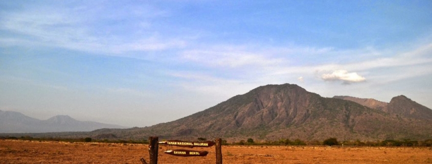 10 Lokasi Wisata Situbondo Yang Memiliki Padang Savana Afrika 5