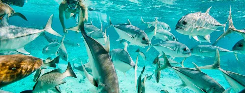 10 Lokasi Wisata Alam Belize Terpopuler dan Terindah 8