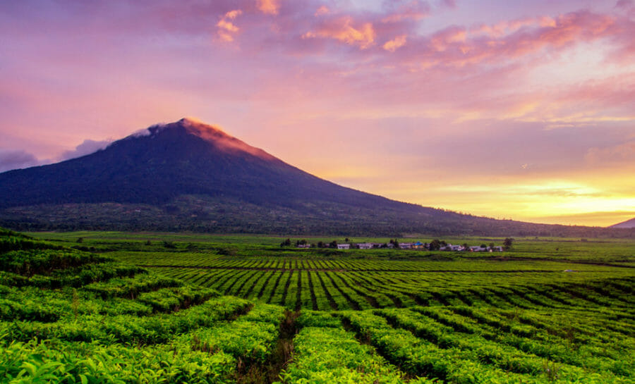 10 Gunung Tertinggi Di Indonesia Yang Cocok Untuk Pecinta Wisata Alam 9