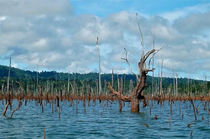 7 Lokasi Wisata Alam Suriname Yang Indah Dan Mempesona 4