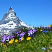 7 Lokasi Yang Harus Kamu Kunjungi Saat Wisata Swiss