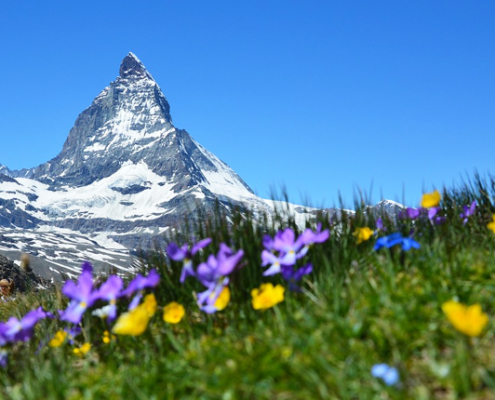 7 Lokasi Yang Harus Kamu Kunjungi Saat Wisata Swiss