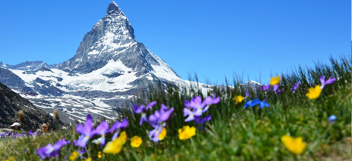 7 Lokasi Yang Harus Kamu Kunjungi Saat Wisata Swiss